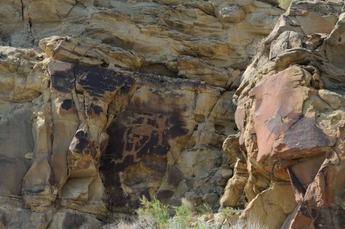 Ancient petroglyphs carved into rocky cliffs, showcasing intricate designs and symbols against a natural stone backdrop.