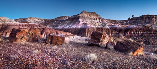 A panoramic view of colorful rock formations and petrified wood in a desert landscape under a clear blue sky.