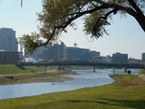 A city skyline with a bridge over a river, framed by a tree and grassy banks under a clear blue sky.