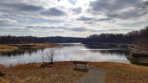A serene lakeside view with a bench, surrounded by trees and cloudy skies, reflecting on calm water.