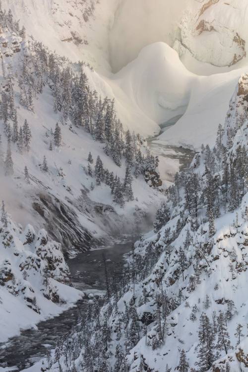A snowy landscape with a winding river, surrounded by tall evergreen trees and steep, icy cliffs.