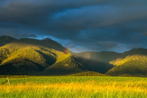 A vibrant landscape featuring green fields in the foreground and mountains with a rainbow under a cloudy sky.
