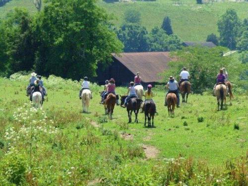 A group of people riding horses through a green field, heading towards a barn in the background.