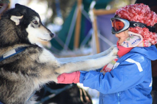 A child in winter gear interacts with a friendly husky dog in a snowy outdoor setting.