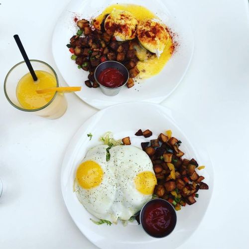 Two plates of breakfast: one with eggs Benedict and the other with sunny-side-up eggs, served with seasoned potatoes and a drink.