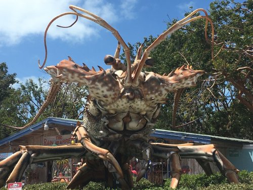 A large, colorful lobster sculpture stands outside a building, surrounded by greenery and under a blue sky.