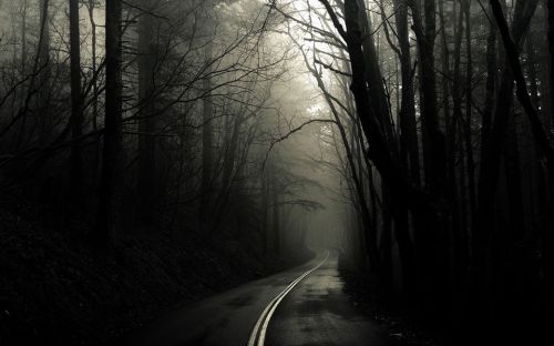 A winding road through a dark, misty forest with bare trees and a mysterious atmosphere.