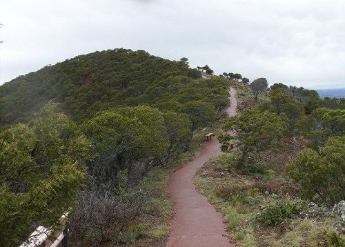A winding path leads through green shrubs and trees on a hillside under a cloudy sky.