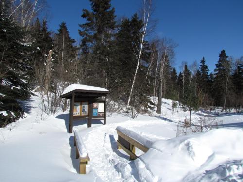 A snowy landscape with a wooden bridge and a signpost surrounded by trees under a clear blue sky.