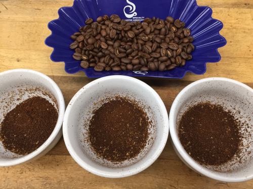 Three white bowls of ground coffee sit in front of a blue tray filled with whole coffee beans on a wooden surface.