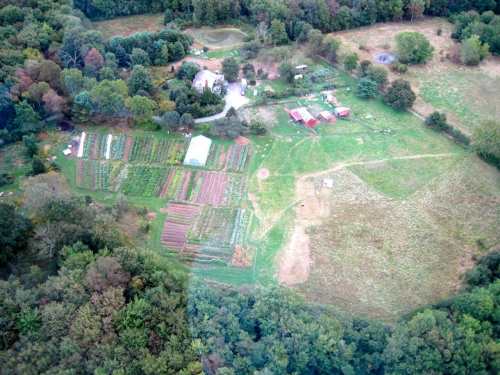 Aerial view of a farm with diverse crops, green fields, and several buildings surrounded by trees.