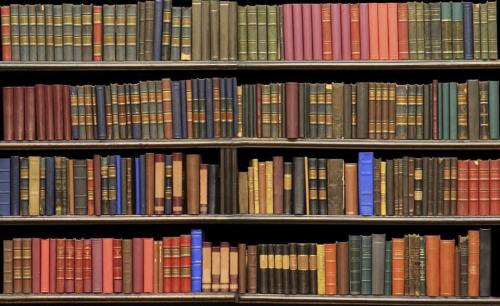 A wooden bookshelf filled with various colored books, arranged in neat rows.