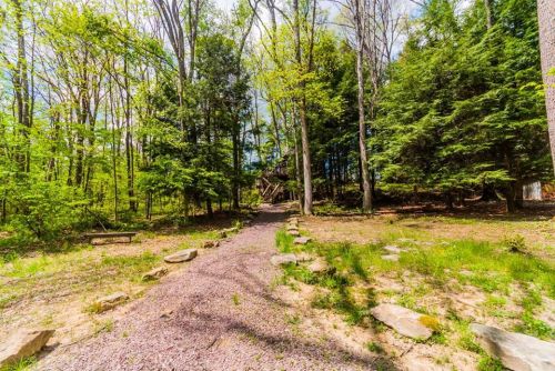 A winding gravel path leads through a lush green forest with trees and scattered rocks.