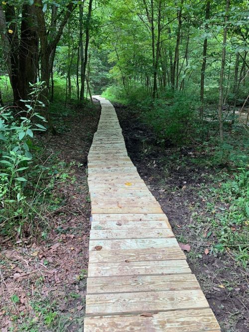A wooden boardwalk winding through a lush green forest, surrounded by trees and underbrush.