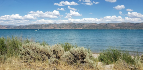 A serene lake surrounded by mountains under a blue sky with fluffy clouds, framed by green shrubs in the foreground.