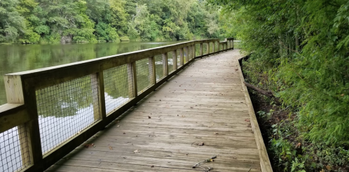 A wooden boardwalk curves along a serene river, surrounded by lush green trees and calm water.