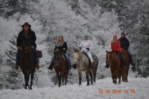 Five people on horseback ride through a snowy landscape, surrounded by frosted trees.