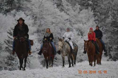 Five people on horseback ride through a snowy landscape, surrounded by frosted trees.