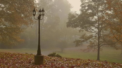 A vintage lamp post stands in a foggy park, surrounded by autumn leaves and trees in soft focus.