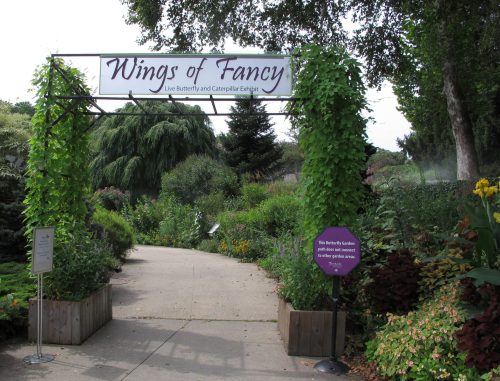 Entrance to "Wings of Fancy," a butterfly and caterpillar exhibit, surrounded by lush greenery and colorful flowers.
