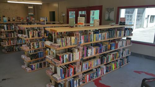 A cozy bookstore interior with wooden shelves filled with a variety of books, creating a welcoming atmosphere.