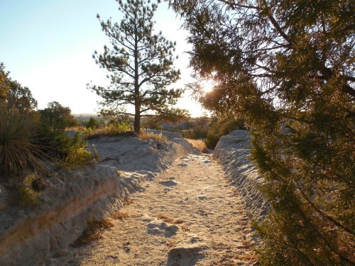 A sunlit path through a rocky landscape, framed by trees and shrubs, leading into the distance.