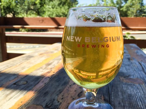 A glass of New Belgium Brewing beer sits on a rustic wooden table, with greenery in the background.