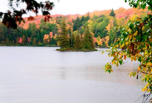 A serene lake scene featuring an island surrounded by vibrant autumn foliage and calm waters.