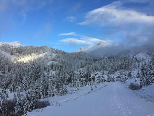 Snow-covered mountains under a blue sky with scattered clouds, surrounded by a forest of evergreen trees.