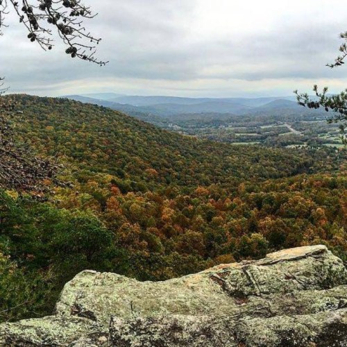 A scenic view of rolling hills covered in autumn foliage under a cloudy sky, with a rocky foreground.