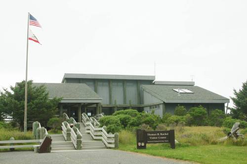 A modern visitor center with a sloped roof, surrounded by greenery, and a California flag flying in front.