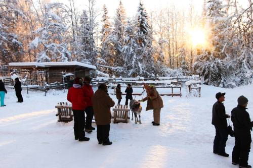 A snowy landscape with people interacting near a wooden fence and a dog, surrounded by trees and a sunset.