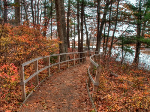 A winding wooden path through colorful autumn foliage, leading to a serene body of water in a forested area.