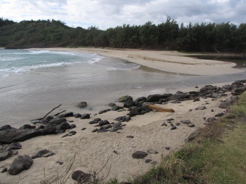 A serene beach scene with gentle waves, sandy shore, scattered rocks, and lush greenery in the background under a cloudy sky.