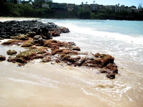 Rocky shoreline with colorful moss, gentle waves lapping at the sand, and distant buildings under a clear sky.