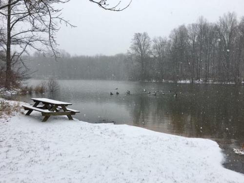 A snowy landscape featuring a picnic table by a lake, with ducks swimming in the water and trees in the background.