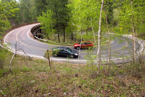 Two cars navigate a winding road surrounded by lush green trees and foliage.