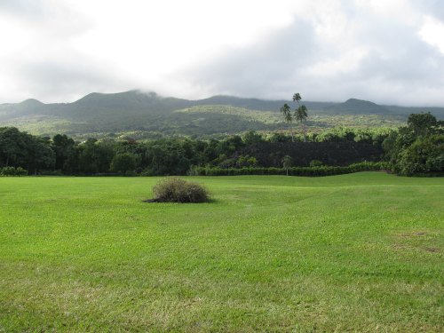 Lush green field with a small bush, mountains in the background under a cloudy sky.