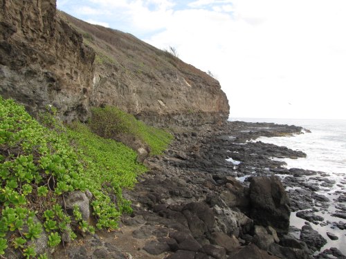 Rocky coastline with lush green vegetation and a cliff under a cloudy sky. Waves gently crash against the shore.