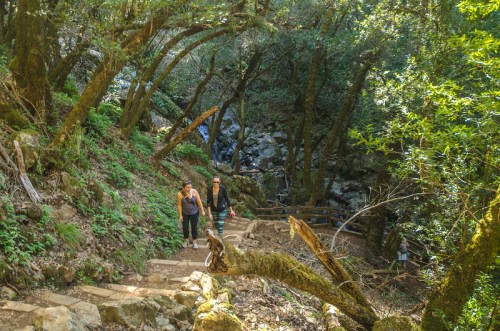 Two hikers ascend a stone path through a lush, green forest with trees and a small waterfall in the background.