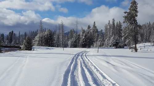A snowy landscape with tire tracks winding through a forest of evergreen trees under a partly cloudy sky.