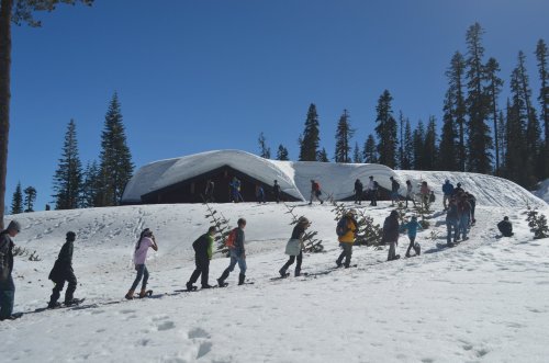 A group of people walking up a snowy hill towards a cabin, surrounded by tall trees under a clear blue sky.