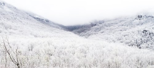 A snowy landscape with trees blanketed in white, surrounded by misty mountains under a cloudy sky.