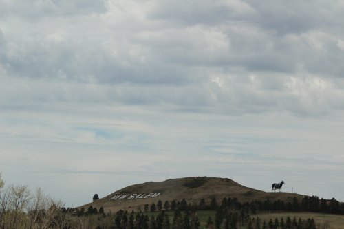A hill with the words "New Salem" and a large statue of a cow against a cloudy sky.