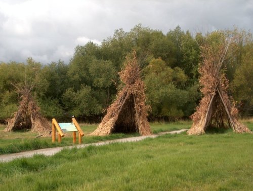 Three teepee-like structures made of branches and leaves stand in a grassy area, with trees and a sign in the background.