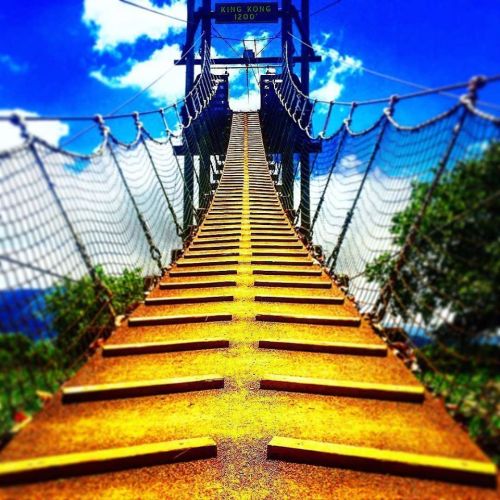 A steep suspension bridge with yellow steps leading up, set against a bright blue sky and lush greenery.