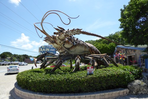 A large lobster sculpture sits in a landscaped area near a roadside, with colorful decorations and a sign in the background.