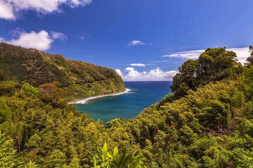 Lush green cliffs meet a vibrant blue ocean under a clear sky, creating a stunning coastal landscape.