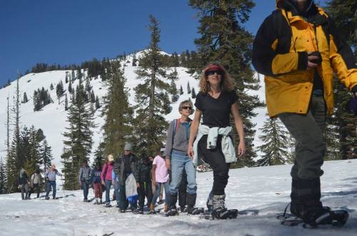 A group of people snowshoeing through a snowy landscape with trees and mountains in the background.