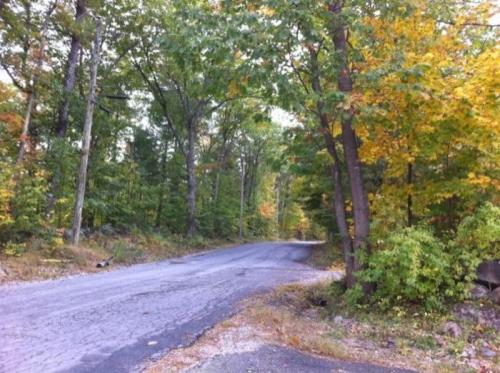 A winding road surrounded by trees with autumn foliage in shades of green and yellow.